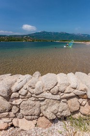 Figari