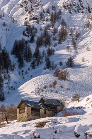 Auron