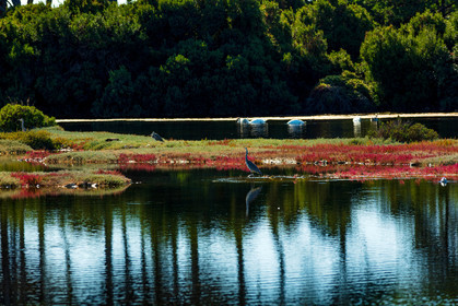 Lérins, Sainte-Marguerite