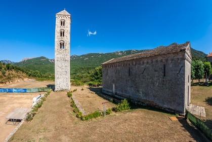 Carbini