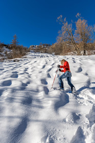 Raquettes à neige