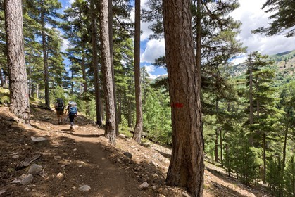 GR 20 Nord