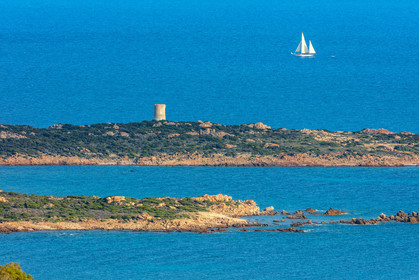 Monaccia d'Aullène