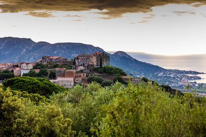 Pigna