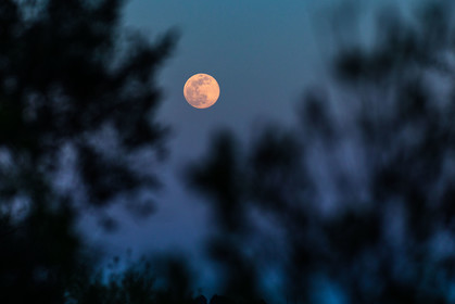 Lune