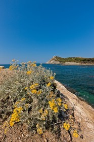 Ile du Grand Gaou