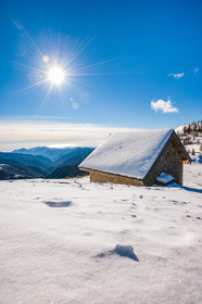 Turini