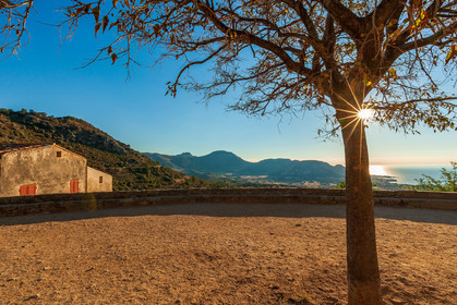 Pigna
