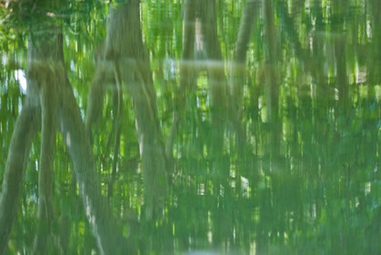 Canal du Midi