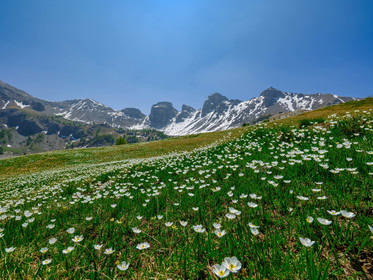 Lac d'Allos