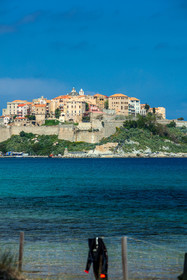 Calvi