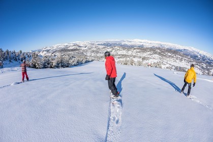 Snowboard
