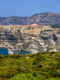 Bonifacio
