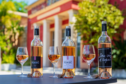 Domaine de Toasc