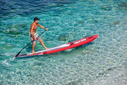 Paddle