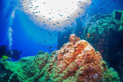 Plongée-sous-marine