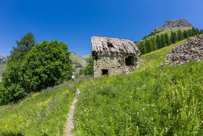 Allos