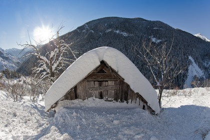 Auron