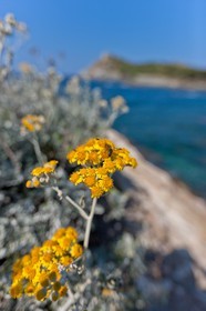Ile du Grand Gaou