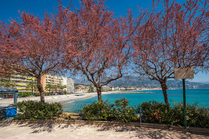 Roquebrune-Cap-Martin