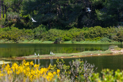 Lérins Sainte-Marguerite