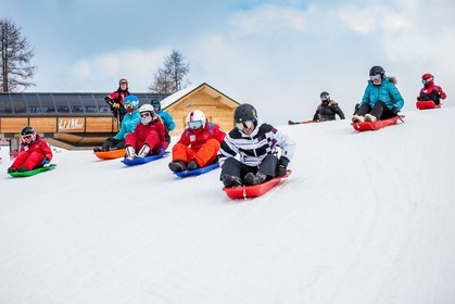 Luge
