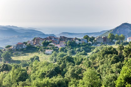 Olmeta-di-Tuda