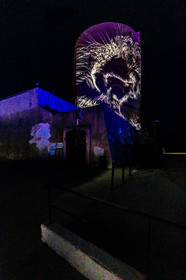 Festi Lumi 2019