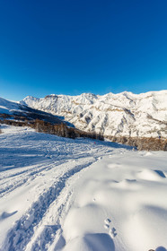 Auron