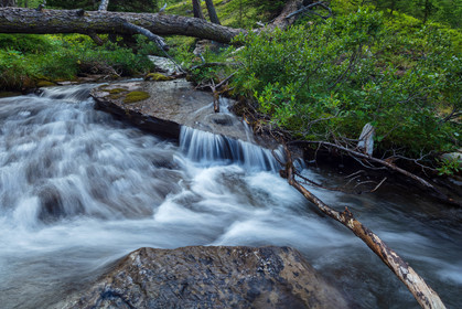 Torrent
