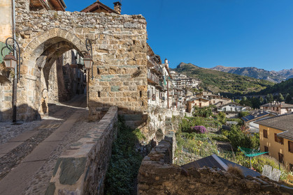 Tende