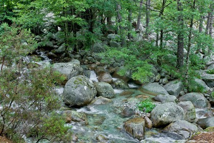 GR 20 Nord