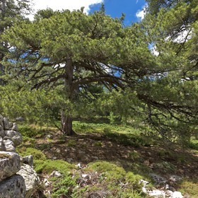 GR 20 Nord