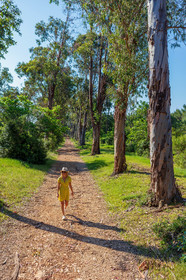 Lérins Sainte-Marguerite