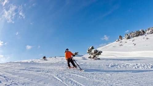 Trikke Skki