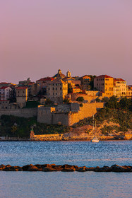 Calvi