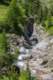 Allos