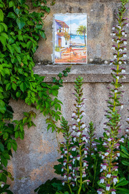 Lérins Sainte-Marguerite