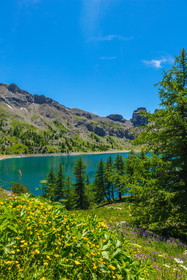 Lac d'Allos
