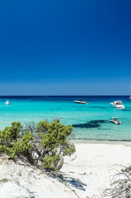 Saleccia