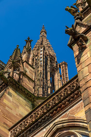 Strasbourg