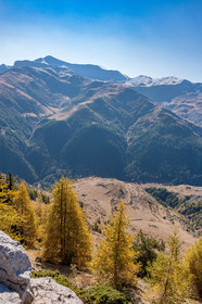 Auron