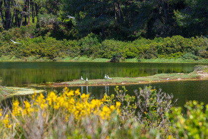 Lérins Sainte-Marguerite