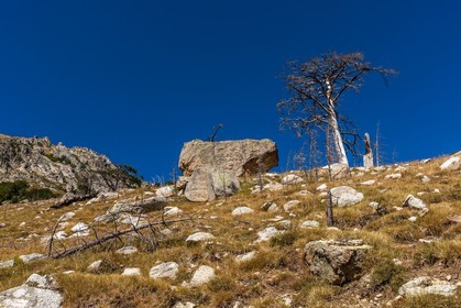 GR 20 Sud