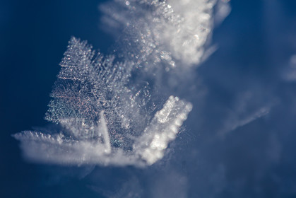 Cristaux de neige