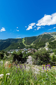 Auron