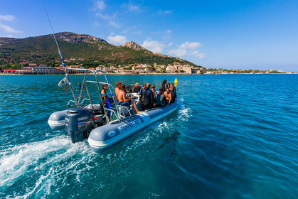 Plongée-sous-marine