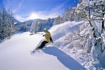 Snowboard