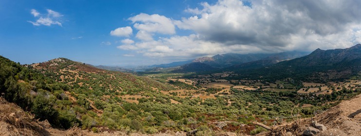Avapessa