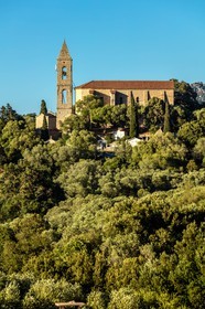 Figari